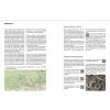 Bělá (Szwajcaria czeska, Czechy) Przewodnik wspinaczkowy