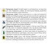 Góry Łużyckie - Zittauer Gebirge (Niemcy) - Przewodnik wspinaczkowy