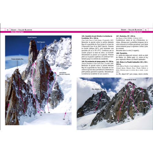 Snow, Ice & Mixed Vol. 2 (Mont Blanc, Alpy, Francja) Przewodnik wspinaczkowy