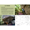 Sintra Bouldering (Portugalia) Przewodnik boulderowy