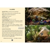 Sintra Bouldering (Portugalia) Przewodnik boulderowy