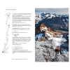 Patagonia Vertical 2022 (Argentyna) Chalten Massif