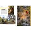 Bleau Blocs. 100 najlepszych problemów boulderowych w Fontainebleau (Francja)