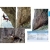 Vratsa Climbing Guide (Bułgaria) Przewodnik wspinaczkowy