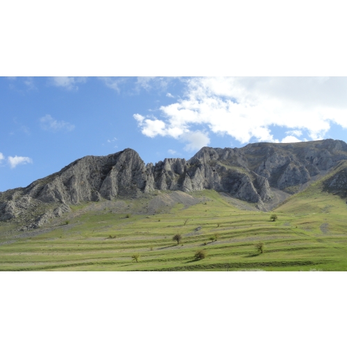 Munții Trascăului.  Autor: De la Fmvh - Operă proprie, CC BY-SA 3.0, https://commons.wikimedia.org/w/index.php?curid=19213354